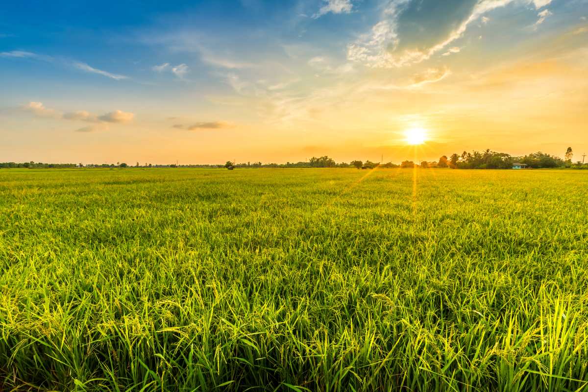 air con environmental considerations